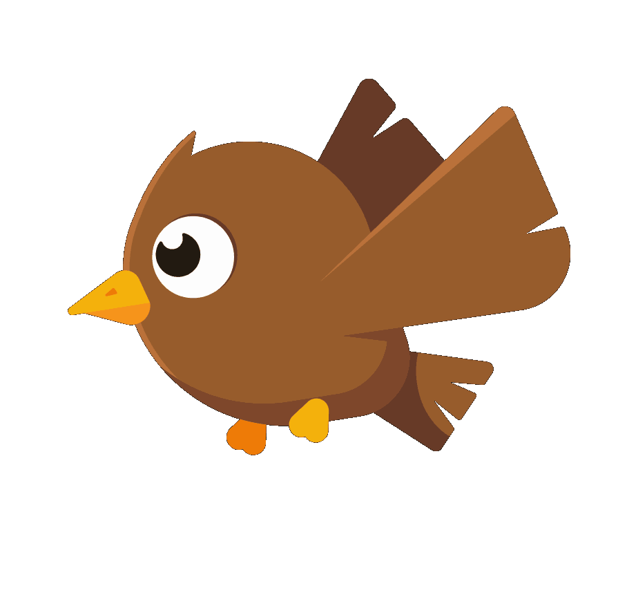 bird